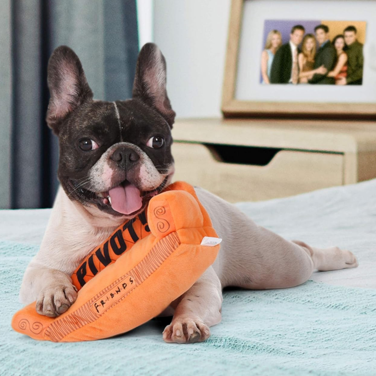 Pivot Couch Dog Toy – Officially Licensed Friends 10" Squeaky Plush