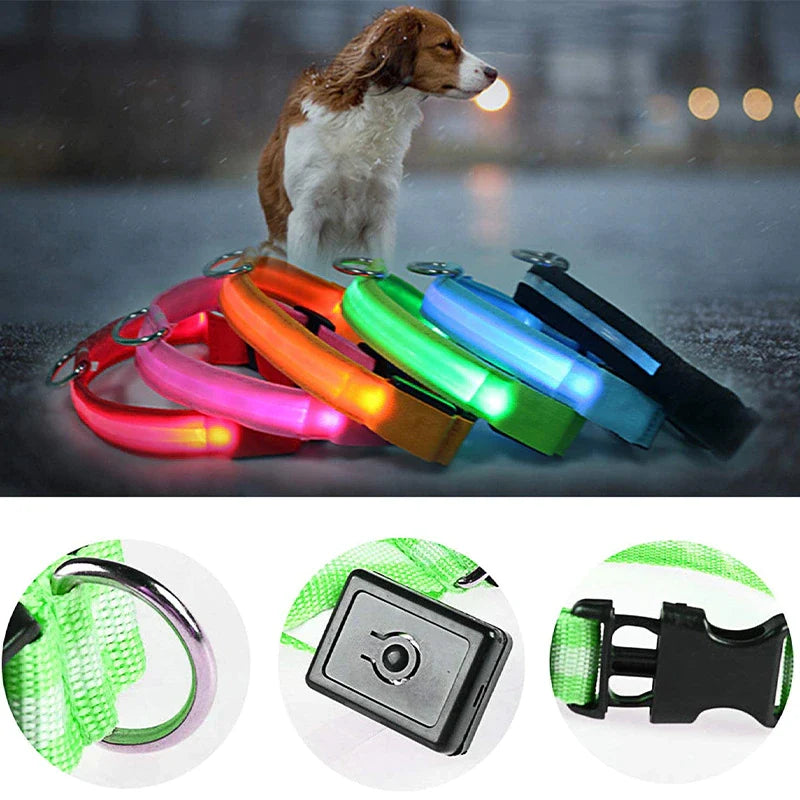 LED Light-Up Dog Collar – photo 5