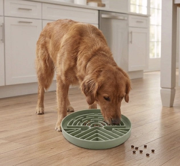 Lick Mat Bowl – Silicone Slow Feeder & Anti-Choking Puzzle Bowl for Dogs & Cats (Green)