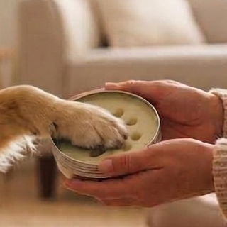 Dog Paw Balm – Reusable Tin