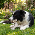 Dog Chew Bone – Spinning Dental Chew, Long-Lasting Bacon Flavor for Small & Medium Dogs